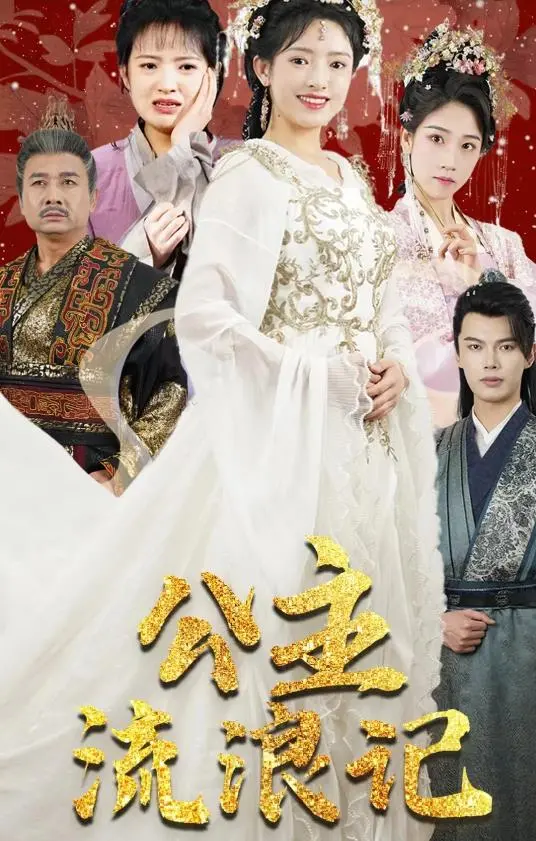 公主流浪记 海报