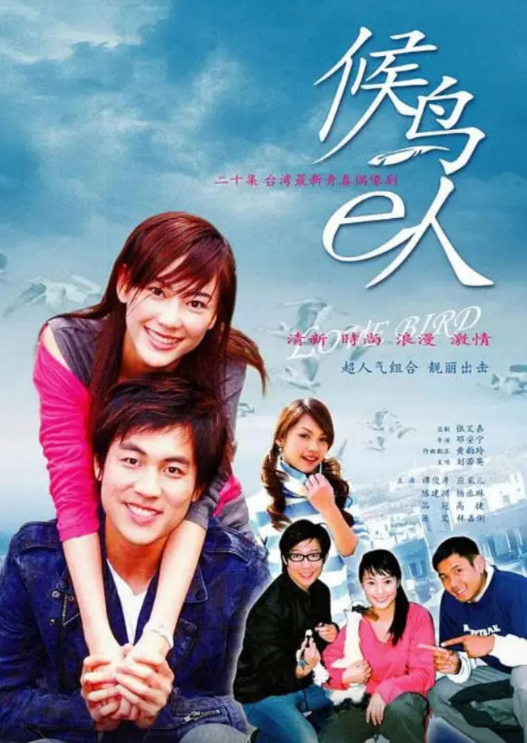 《候鸟e人》：青春的迁徙与爱情的守望，都市丛林中的候鸟故事